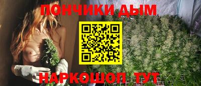 шишки Гай