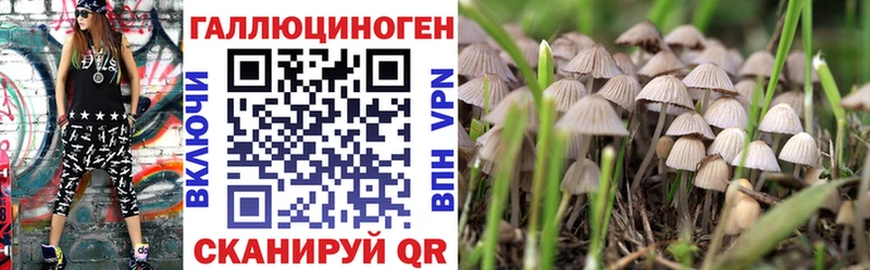 Псилоцибиновые грибы ЛСД купить наркотики цена Димитровград