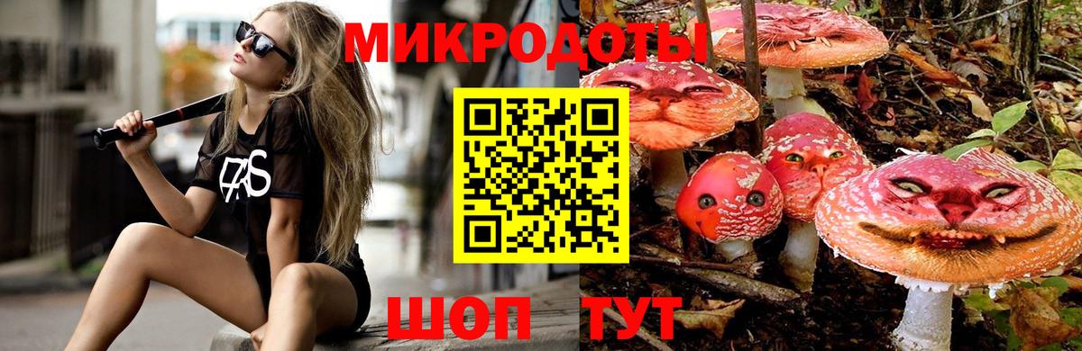 Псилоцибиновые грибы мицелий Димитровград