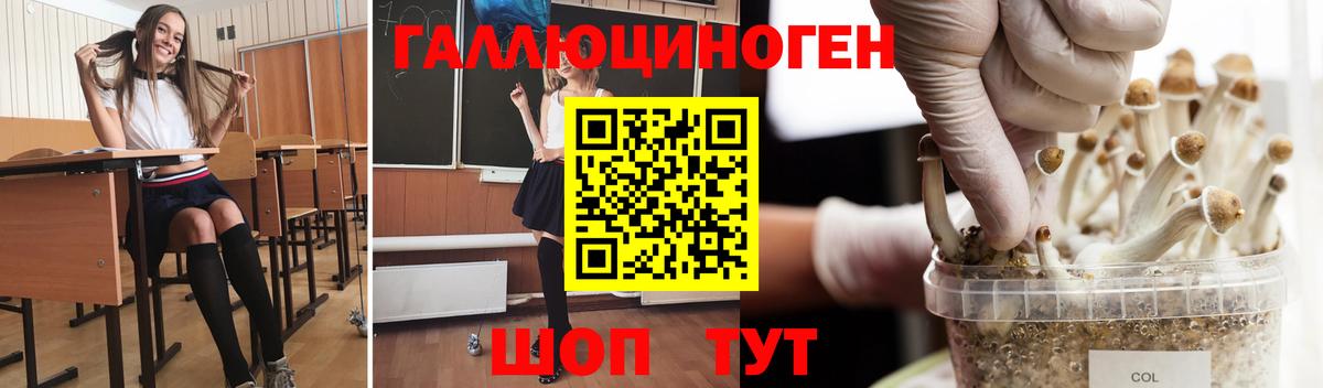 Галлюциногенные грибы GOLDEN TEACHER  Вход с VPN  Димитровград 